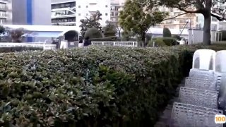 亚洲精品无码av天堂 - 在线观看-完整版电影在线观看...